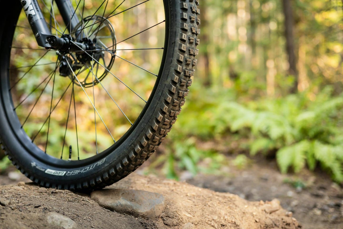 Ruota di mountain bike su un sentiero roccioso nel bosco.
