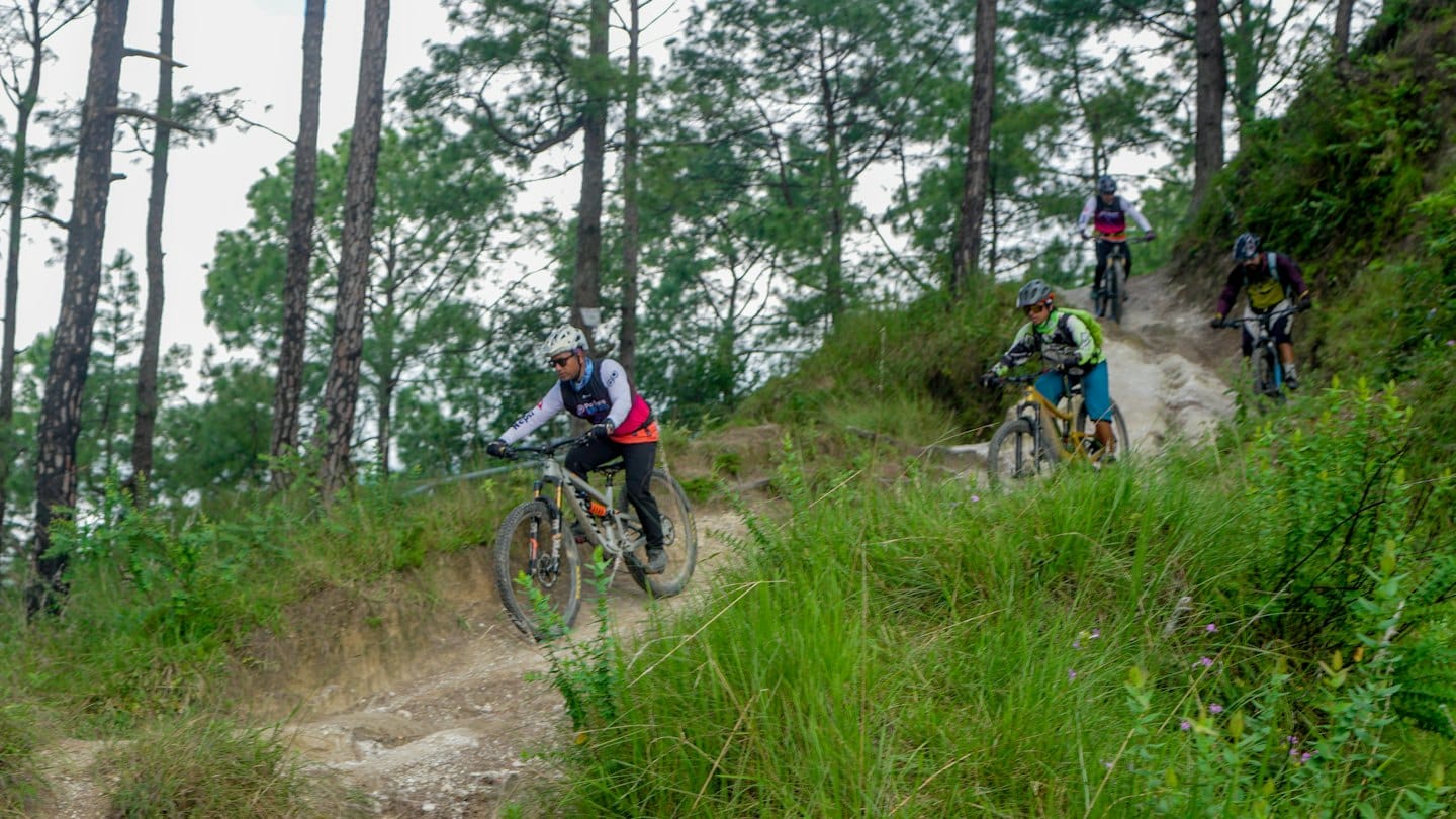 Quattro mountain biker scendono su un sentiero forestale sterrato e tortuoso.