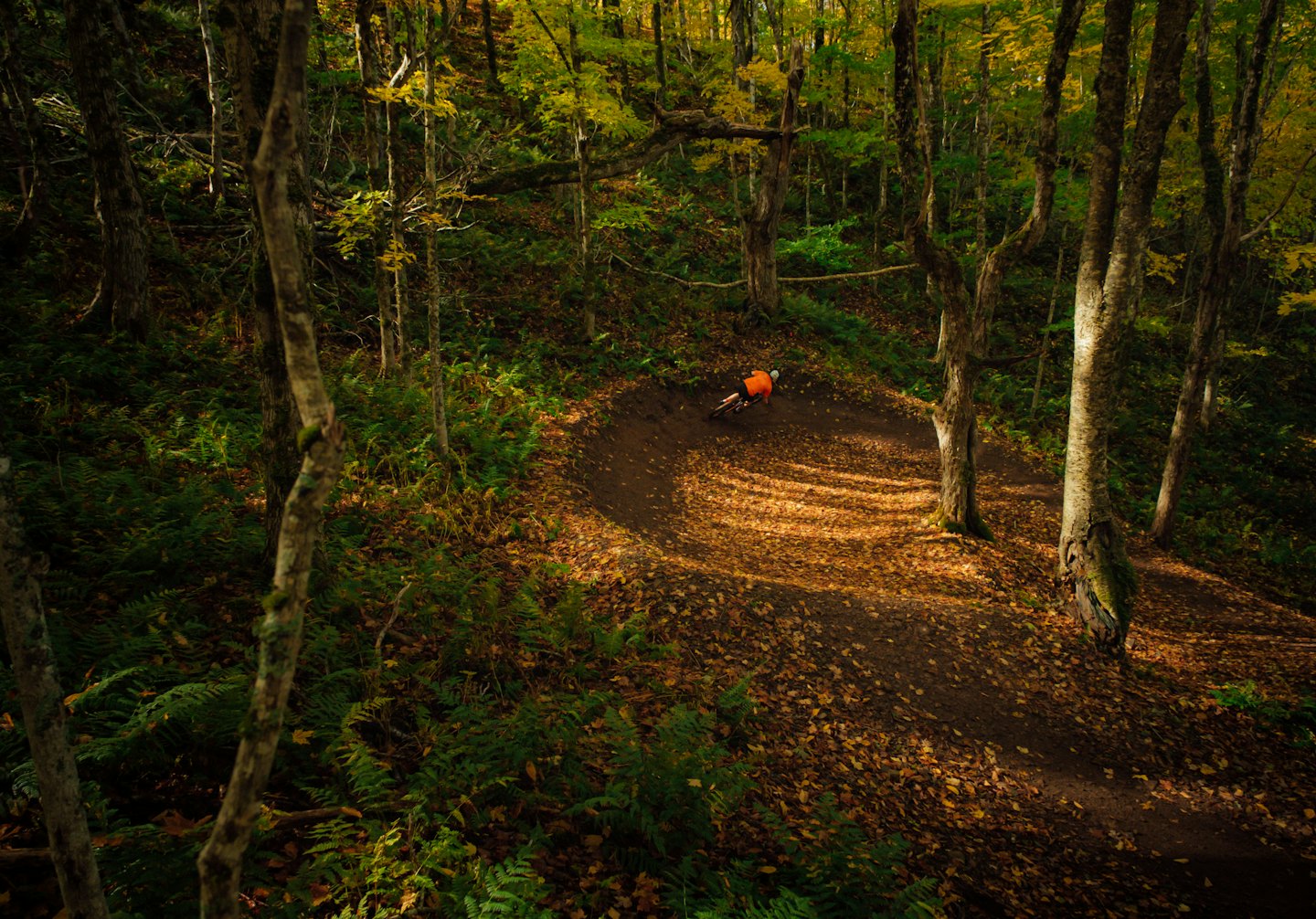 Ciclista di montagna con maglia arancione percorre un sentiero nel bosco.