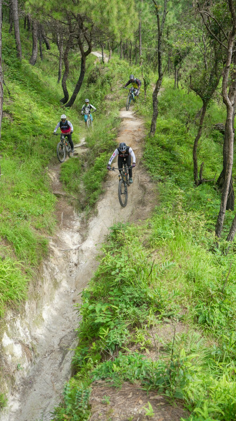 Quattro mountain biker scendono su un sentiero tortuoso e sabbioso nel bosco.